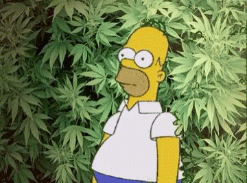 Homer Weed GIF - Homer Weed Out GIFs