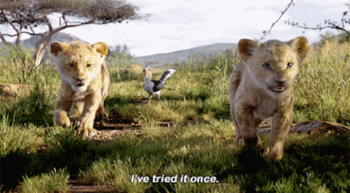 The Lion King Simba GIF - The Lion King Simba Ive Tried It Once GIFs