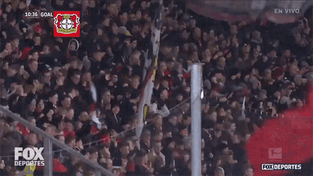 Cheering Fans GIF - Cheering Fans Audience GIFs