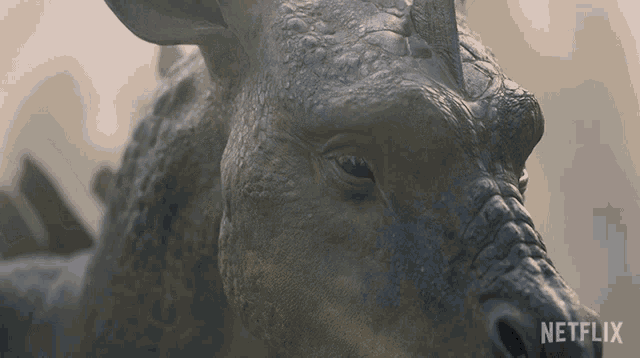 a close up of a dragon 's face with netflix written on the bottom