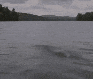 a person 's hand is sticking out of the water and giving the middle finger .