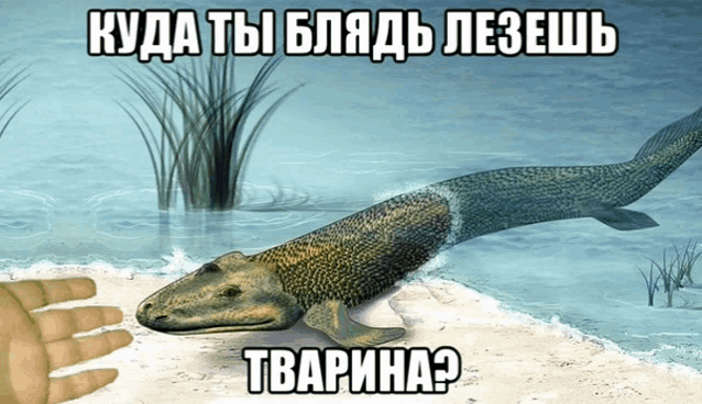 a hand is reaching out towards a large fish with a caption in russian