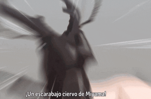 a blurred image of a person with the words " un escarabajo ciervo de miyama " above them