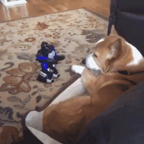 Sick Of You GIF - Dog Robot GIFs