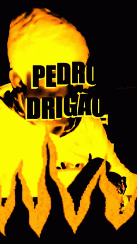 Pedro Drighetti Pedro Henrique GIF - Pedro Drighetti Pedro Henrique Pedro Herique Drighetti GIFs