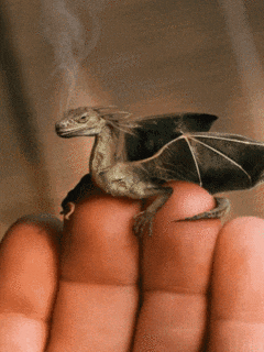 a small dragon is sitting on a persons finger