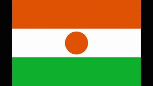 Niger Flag GIF - Niger Flag GIFs