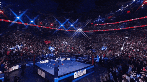 a wrestler stands on a corner of a wrestling ring that says carcano