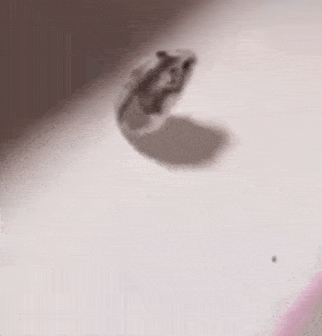 a close up of a white surface with a pink border and a hole in it .