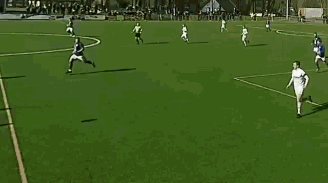 a group of soccer players are playing on a field .