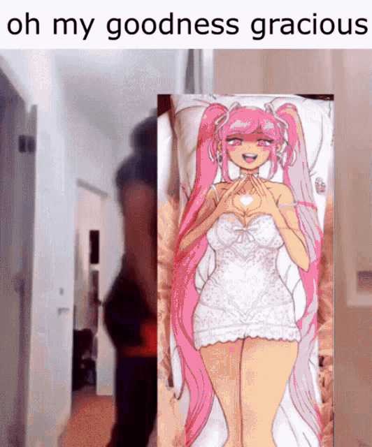 Perfectheart Body Pillow GIF - Perfectheart Body Pillow Oh My Goodness Gracious GIFs