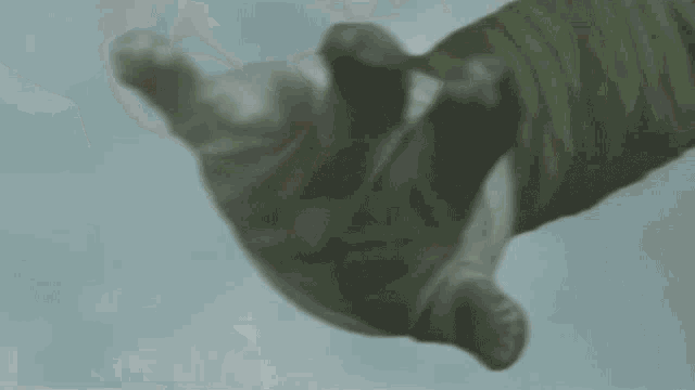 a person wearing white gloves holds another person 's hand in a fist
