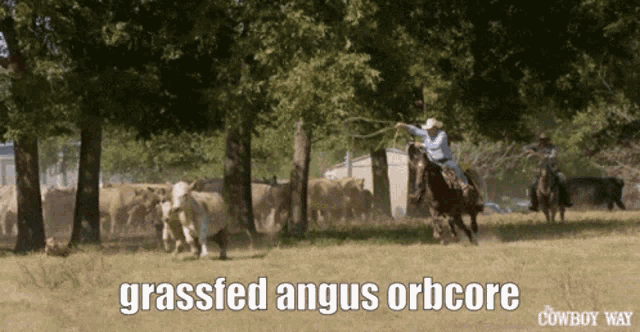 Grassfed Angus Orbcore Orbcore GIF - Grassfed Angus Orbcore Orbcore GIFs