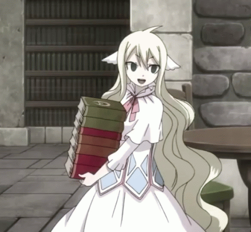 Fairy Tail Carrying GIF - Fairy Tail Carrying Books GIFs