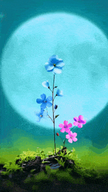 blue and pink flowers are growing in front of a blue moon