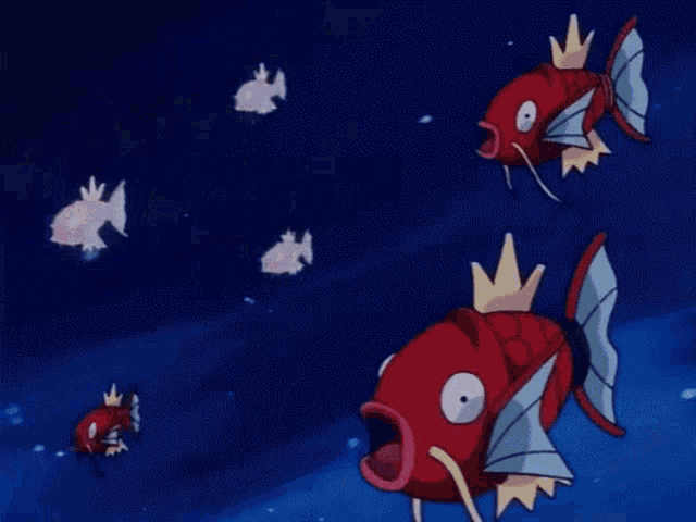 a group of white fish are swimming in a dark blue ocean .