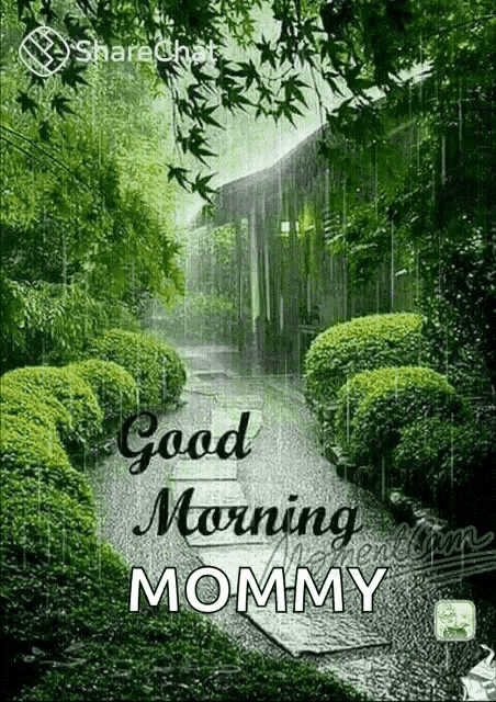a good morning mommy greeting card with a garden in the rain .