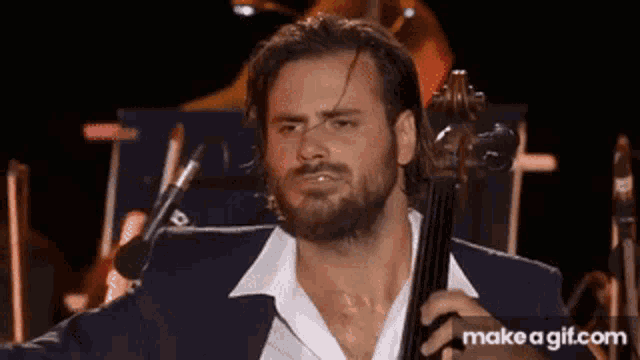 Stjepan Hauser Hauser GIF