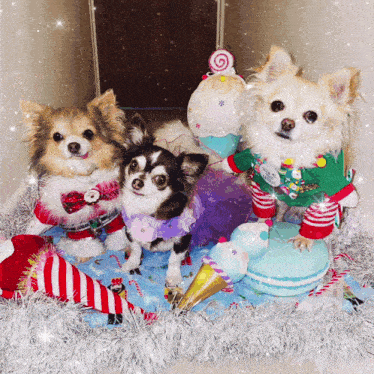 three small dogs wearing christmas sweaters are sitting on a bed with tinsel