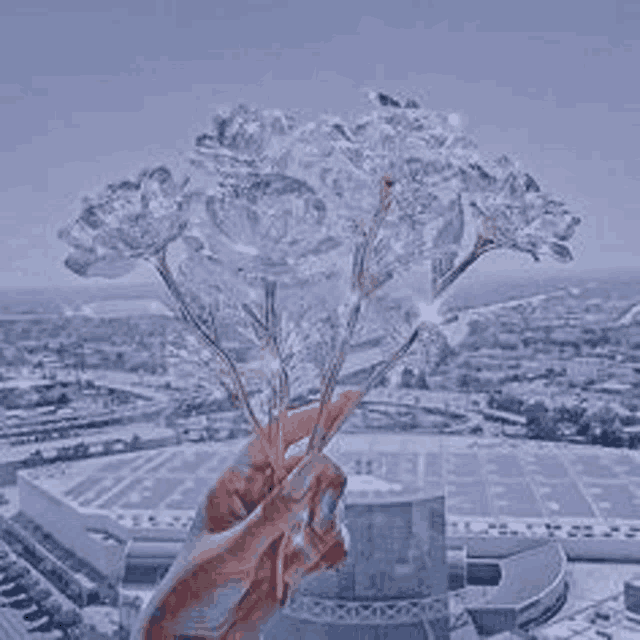 a person is holding a bouquet of clear flowers in their hand .