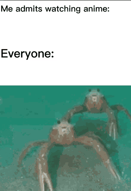 two crabs are standing next to each other in the water with the caption me admits watching anime everyone :