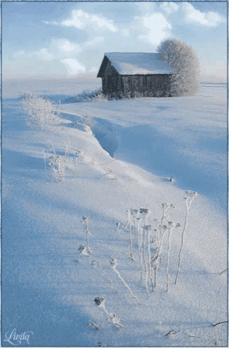 a picture of a snowy field with a house in the background taken by linolta
