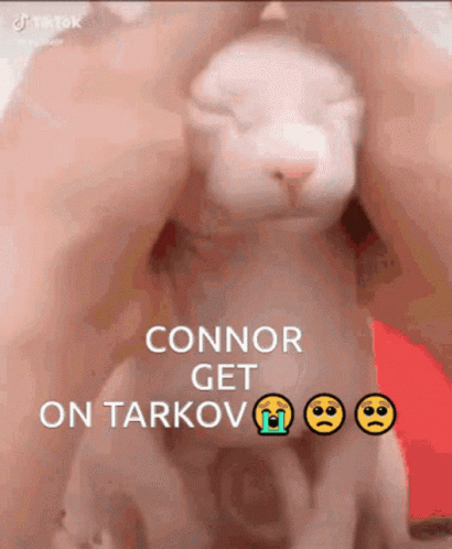 Connor Gay Escape From Tarkov GIF - Connor Gay Escape From Tarkov Tarkov GIFs