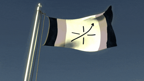 a black and white flag with an arrow pointing to the right