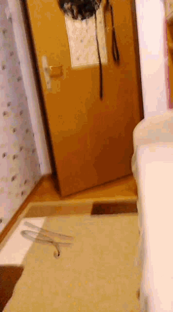 a door with a leash hanging on the wall