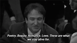 These Are What We Stay Alive For GIF - Poet Poetry Beauty GIFs
