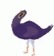 Purple Bird Head Bang GIF - Purple Bird Head Bang GIFs