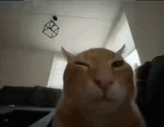 a cat is sitting on a couch in a living room and making a funny face .