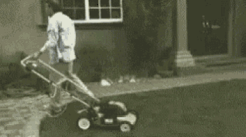 a black and white photo of a dog walking down a sidewalk .
