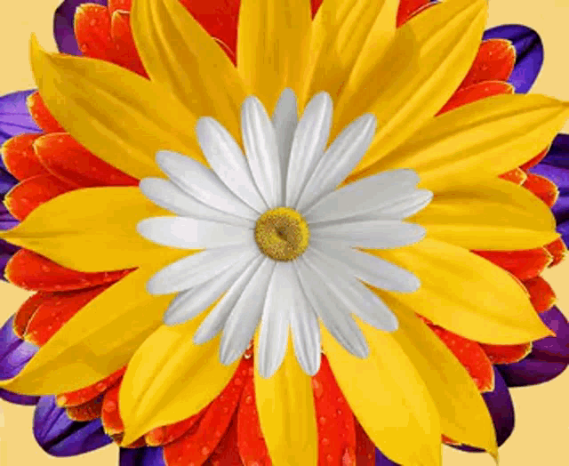 Flores Flowers GIF - Flores Flowers Mirror GIFs