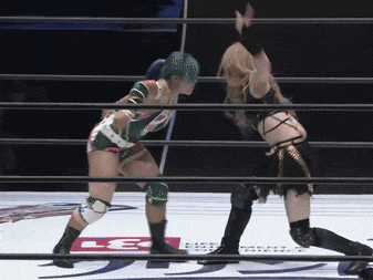 two women are wrestling in a ring with the letters le on it