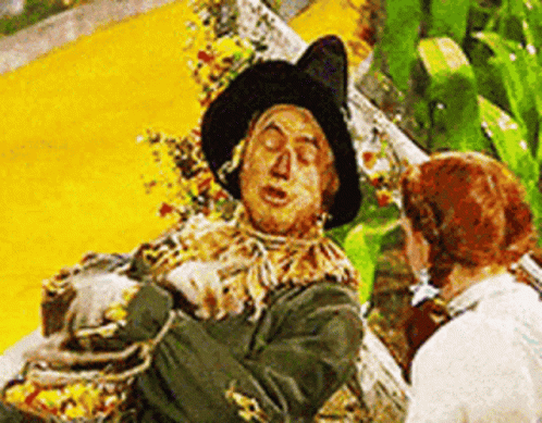 Wizard Of Oz Scarecrow GIF - Wizard Of Oz Scarecrow Im Out GIFs