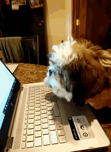 Puppies Dog GIF - Puppies Dog Typing GIFs
