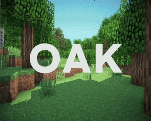 Oak Oak Tree GIF - Oak Oak Tree Fib GIFs