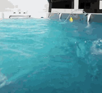 a yellow rubber duck is floating in a pool