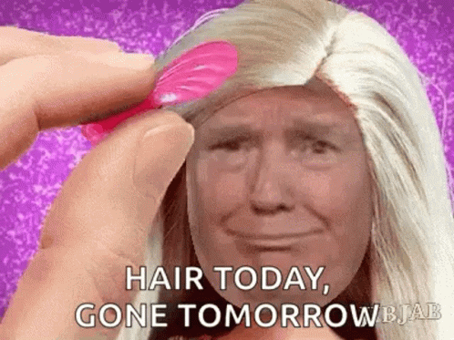 Donald Trump GIF - Donald Trump Hair GIFs