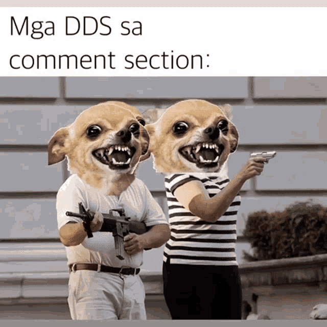 Dds Angry Dds GIF - Dds Angry Dds Triggered Dds GIFs