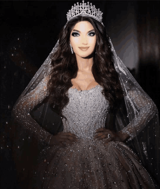 a woman wearing a tiara and a veil is wearing a wedding dress