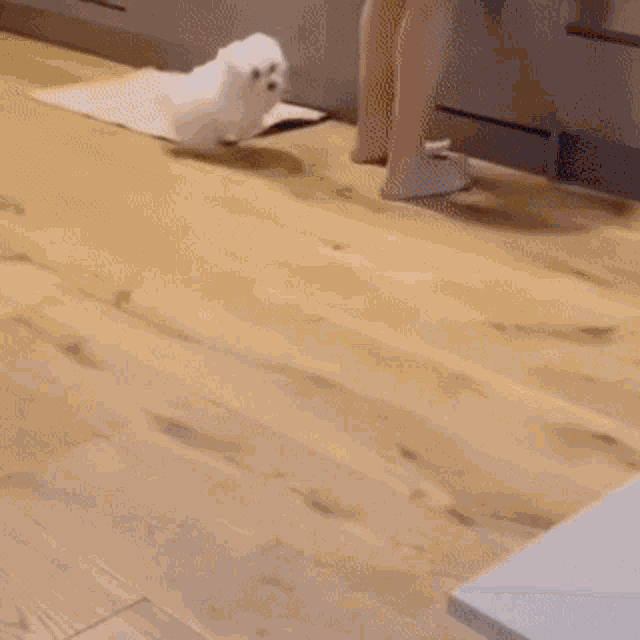 a white box is sitting on a wooden floor in a room .
