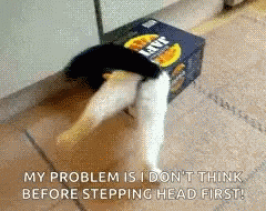 Cats Cats In Boxes GIF - Cats Cats In Boxes Stuck GIFs