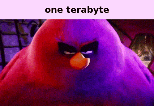 a picture of an angry bird with the words one terabyte