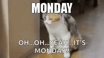 Monday Cat GIF - Monday Cat Tired GIFs