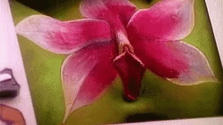 Painting Orchid GIF - Painting Orchid Flower GIFs