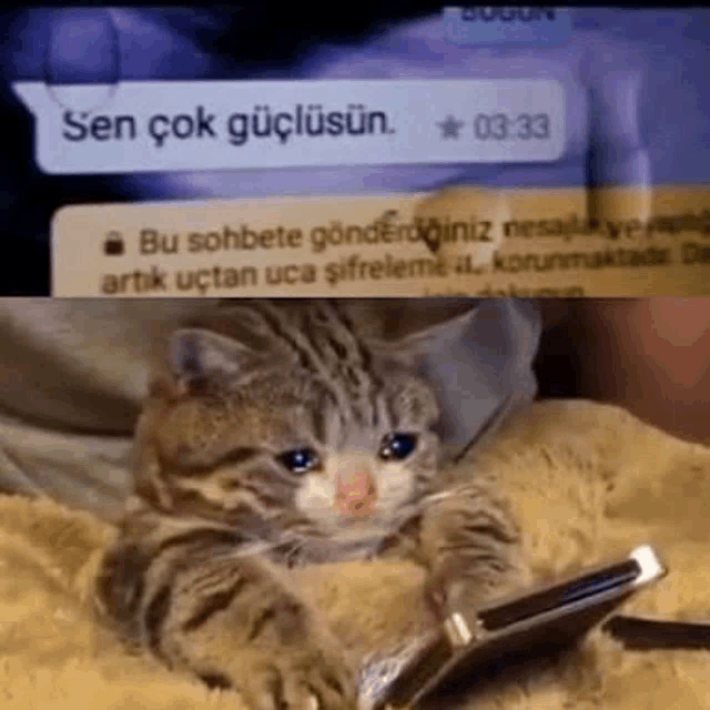 a cat is laying on a blanket next to a cell phone with a message in a foreign language .