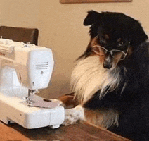 a dog wearing glasses is sitting at a table next to a sewing machine .