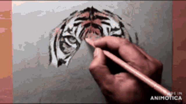a person is drawing a tiger 's head with a pink pencil